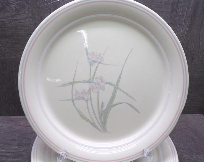 2602 Cornerstone by Corning Spring Pond 10.25" Dinner Plate Set of 4 - Pretty Good Condition Some Wear Chip on One