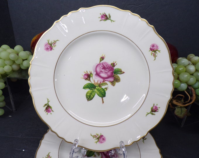 2309 Syracuse China Federal Shape Victoria Rose 8" Gold Rim Salad Plates Vintage Set of 6 - Chip on back of 1 - Otherwise Very Good Cond.