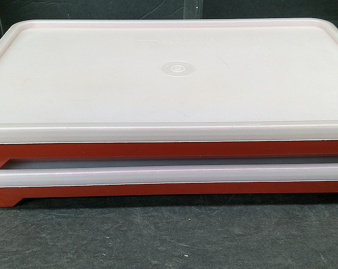 2312 Tupperware 1292-1 Hot Dog Bacon Deli Meat Keepers Paprika Marinade w/ Frosted Lids Vintage Pair of 10.25" x 6.5" - Good Condition