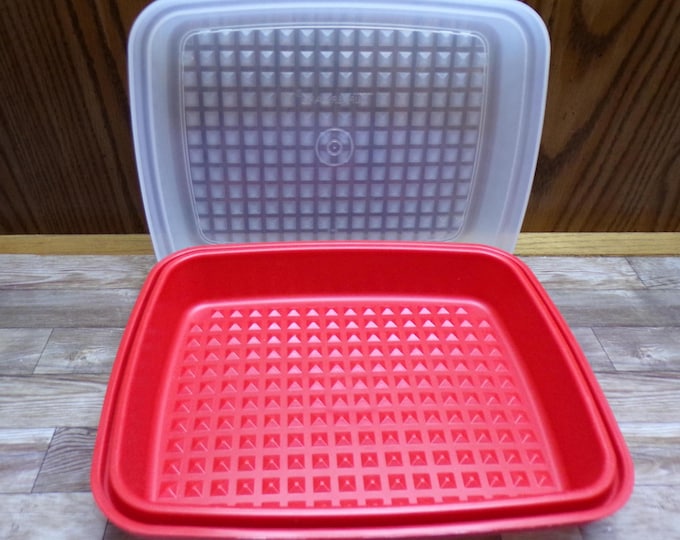 2510 Tupperware 8"x10" Red Season N Serve Jr Meat Marinator Tenderizer w/ Clear Lid - Great Condition