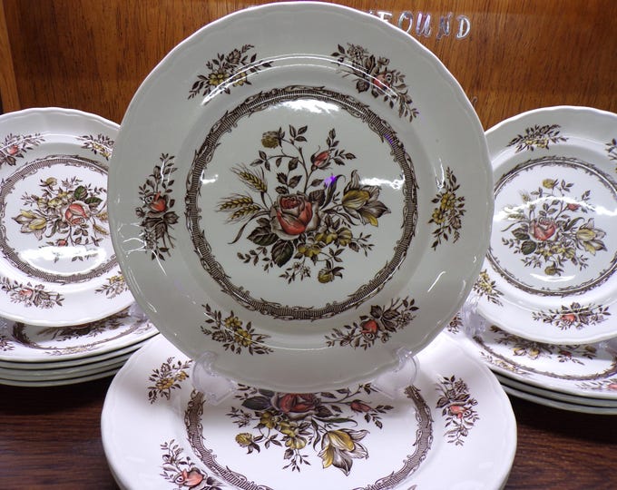 2506 Wood & Sons Rosedale Brown 13 pc Set Hand Engraved Dinnerware Made in England - Good Condition w/Light Scratches and Wear