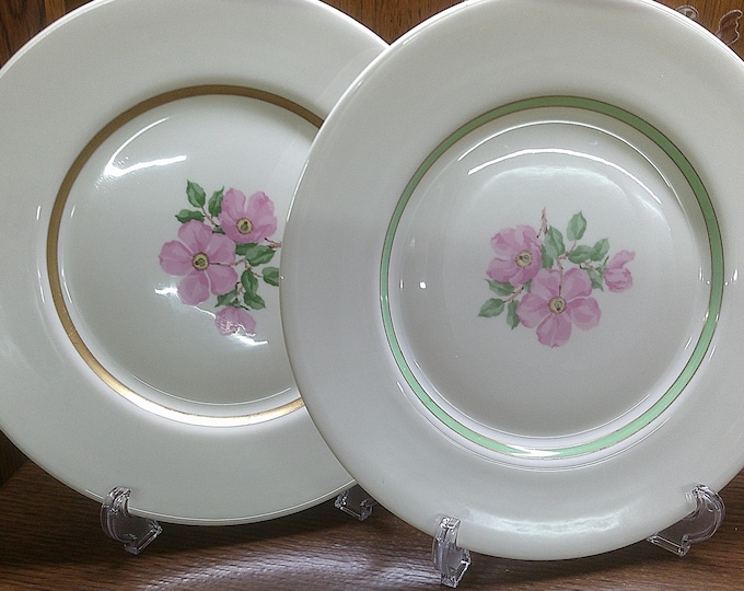 2501 Franciscan China Cherokee Rose California USA Pair of 10.75" Dinner Plates One Green Band & One Gold Band - Great Condition