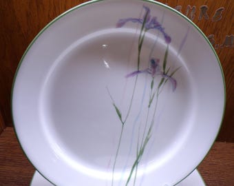 2507 Corelle Shadow Iris Vintage 10.25" Dinner Plates Set of 4 - Pre-owned Great Condition