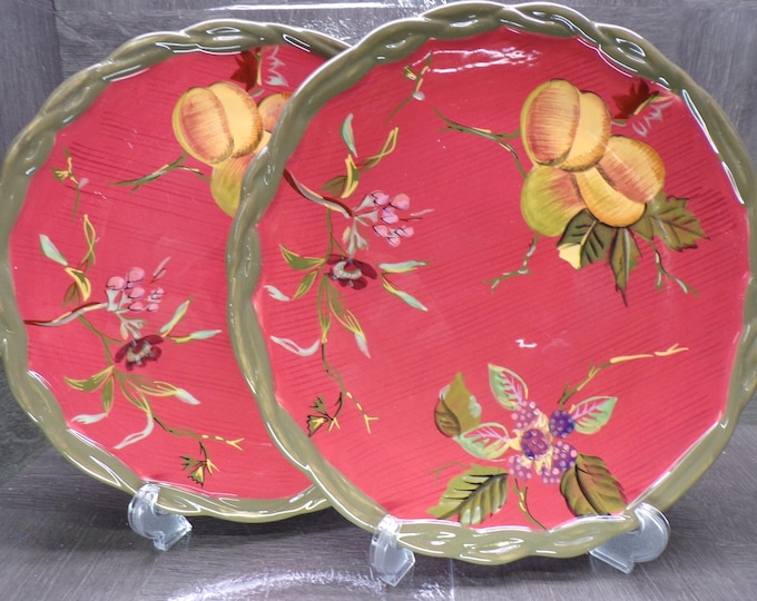 2602 Tracy Porter Pottery The Octavia Hill Collection 11" Dinner Plates Set of 2 Beautiful Hand-painted - Good Condition Light Scratches