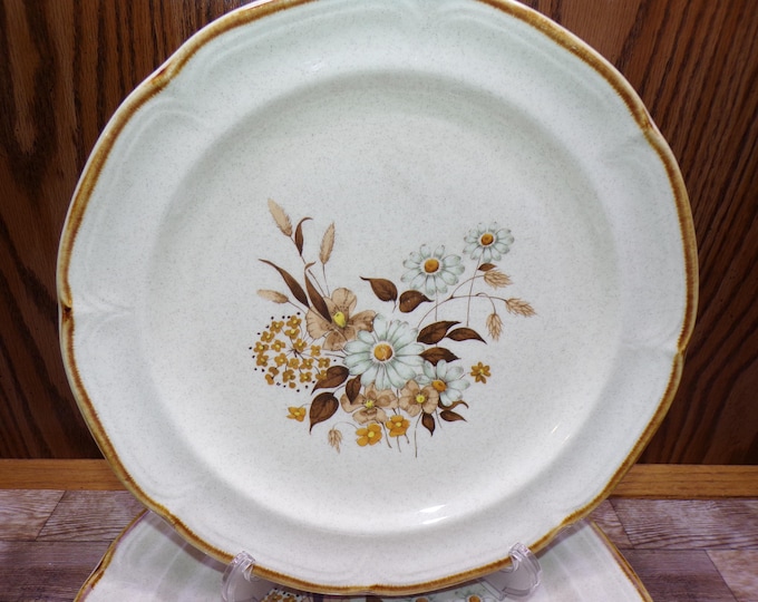 2509 Finesse Stoneware SY7651 Wellington 10.5" Vintage Dinner Plates Set of 3 Hand Decorated Stoneware Made in Japan - Great Condition