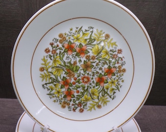 2609 Corelle Indian Summer Vintage 10.25" Dinner Plates Set of 4