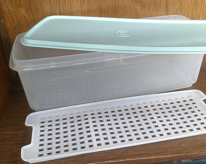 2509 Tupperware 792-12 Celery / Vegi Keeper 14" x 6" x 5" with Mint Green Lid and Insert - Great Condition