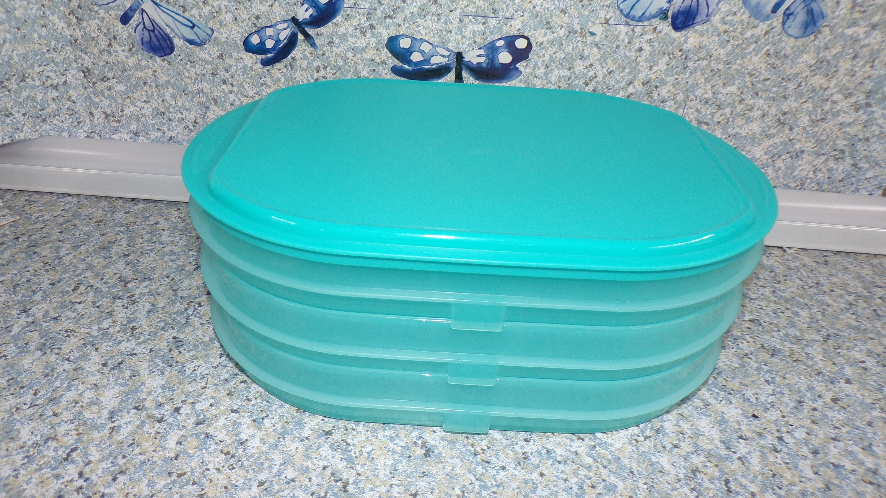 2208177 Vintage Teal Tupperware Fridge Deli Meat Cheese Keeper 