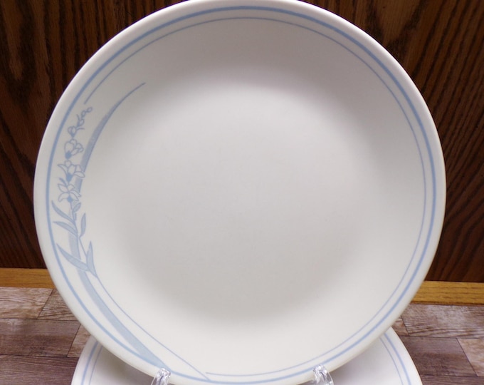 2508 Corelle Blue Lily 10.25" Dinner Plates Set of 7 Blue Floral on Almond - Great Condition