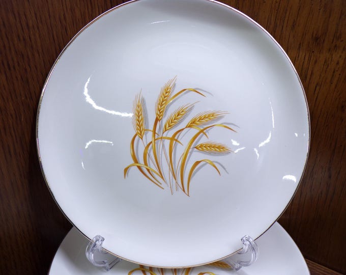 2507 Homer Laughlin Golden Wheat 22k Gold Rim & Trim 9.25" Oven Proof Lunch Plates Set of 6 - Great Condition