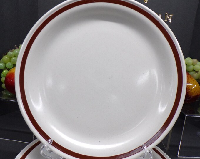 2302 Country Living Stoneware "Spicewood" 10.75" Dinner Plates Vintage Set of 4 - One has a Chip on Bottom (Last Pic)