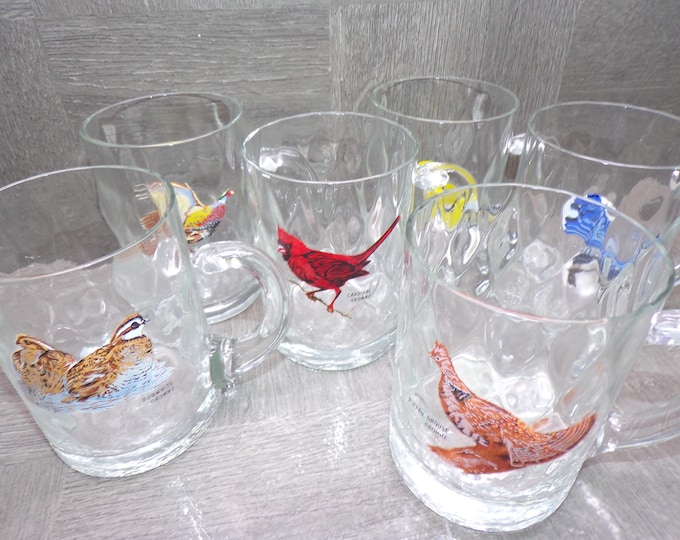 2603 Diamond Optic Clear Glass Vintage 4.25" 10 oz Mugs Set of 6 with 6 Different Birds - Good Condition