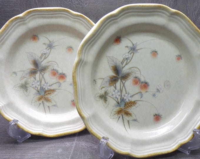 2603 Mikasa Country Charm FG001 berry Vale 8" Salad / Snack Plate Set of 2 - Good Condition
