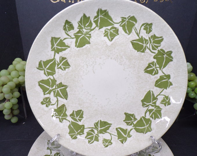 2310 Royal Ironstone Trellis 10.25" Dinner Plates Set of 4 - Olive / Avocado Green Ivy Pattern Vintage - Good Condition No Chips or Cracks