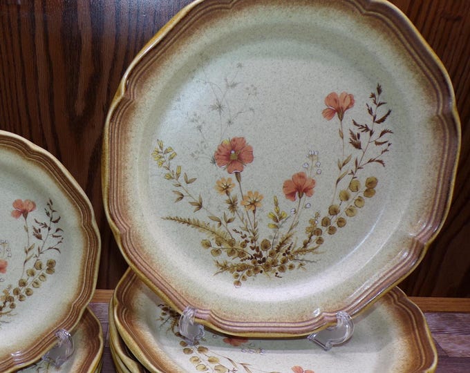 2509 Mikasa Jardiniere E8016 Whole Wheat Stoneware Dinnerware - Oven to Table - Excellent Condition Choose From List:
