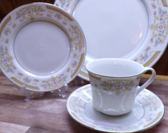 2509 Signature Collection Fine China Coronet #117 Platinum Rim Dinnerware - Made in Japan - Good Condition Choose from List: