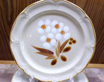 2508 Hearthside Classics Castlewood Hand-Painted Vintage Stoneware 10.5" Dinner Plates Set of 4 Made in Japan - Great Condition