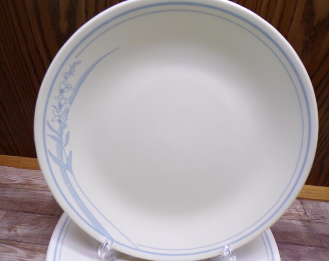 2509 Corelle Blue Lily 10.25" Dinner Plates Set of 4 Blue Floral on Almond - Pretty Good Cond. w/ Some Scratches