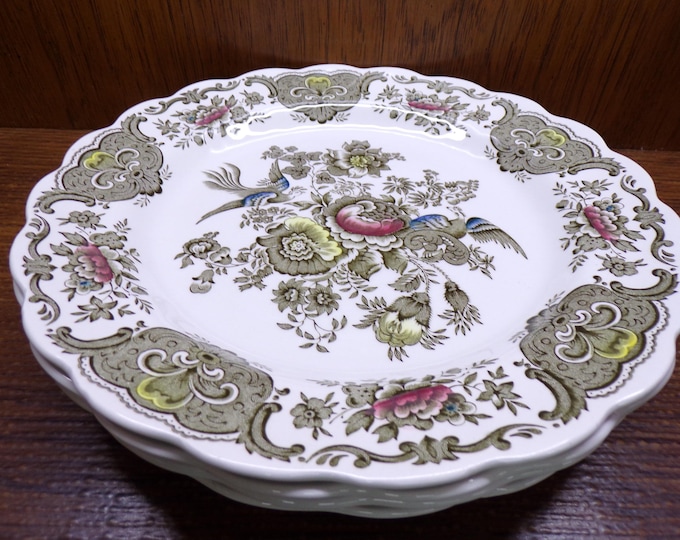 2508 Ridgway of Staffordshire Windsor Multicolor Hand-Engraved 10" Dinner Plate Set of 4 Made in England - Great Condition