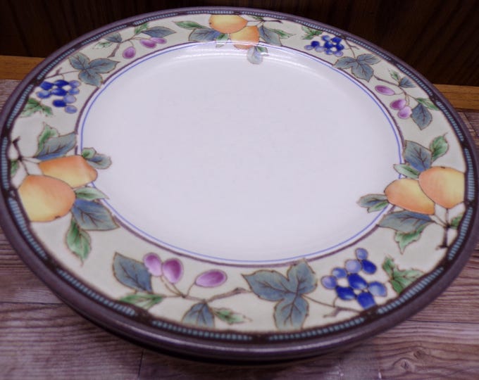 2511 Mikasa Intaglio CAC29 Garden Harvest 8.25" Oven to Table Stoneware Plates Set of 4 - Great Condition