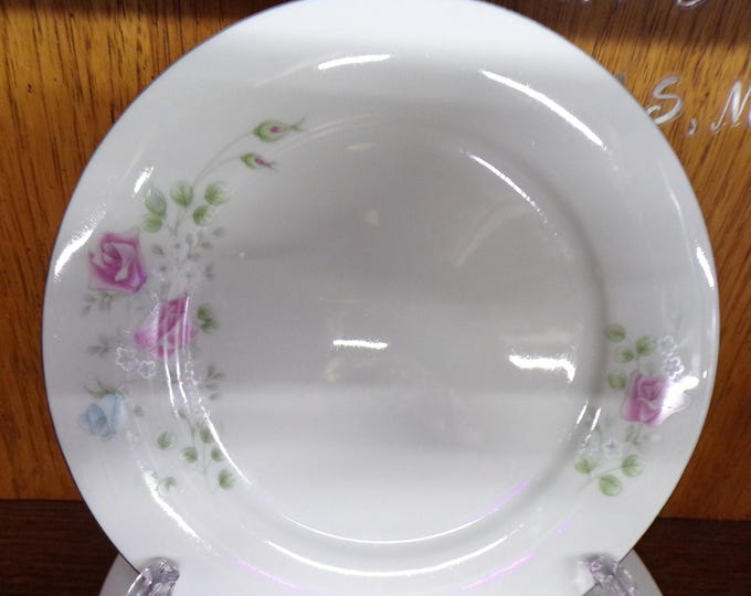 2508 Northridge Fine Porcelain 2005 Vintage 7.5" Salad / Snack Plates Set of 7 Pink & Blue Floral w/ Platinum Rim - Great Condition