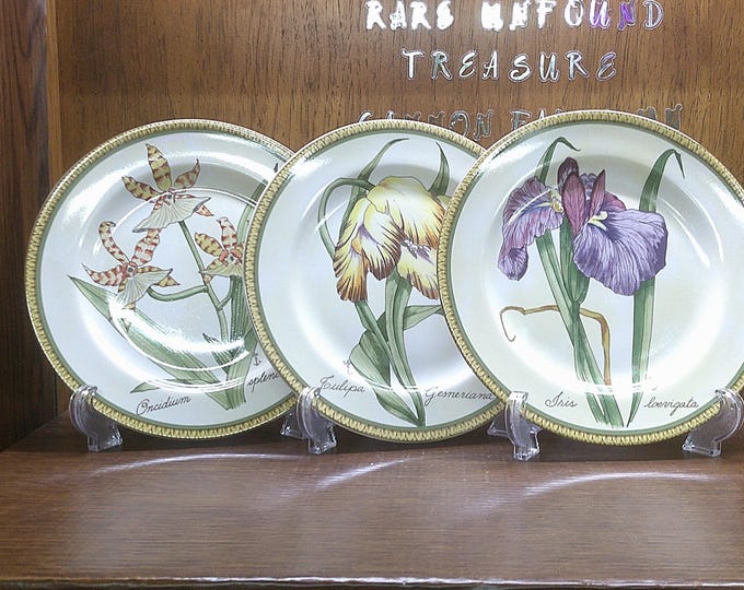 2501 American Atelier Botanical #5023 8" Snack Plates Set of 3 - Great Condition