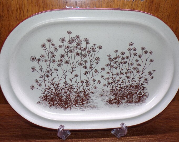 2506 Noritake Stoneware #8341 Desert Flowers 14.25" x 9.5" Vintage Platter - Excellent Condition
