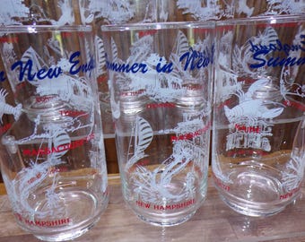 2508 Libbey Glass Summer in New England 5.75" 16 oz Vintage Clear Glass Tumblers Set of 7 - Great Condition