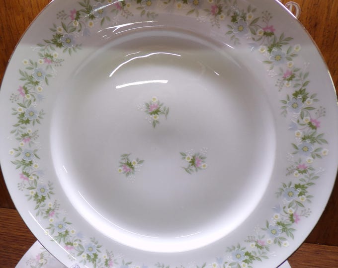 2505 Johann Haviland Forever Spring 10.25" Dinner Plates Set of 7 Vintage Pink & Blue Floral Germany - Good Cond. Some Wear on Silver Rim