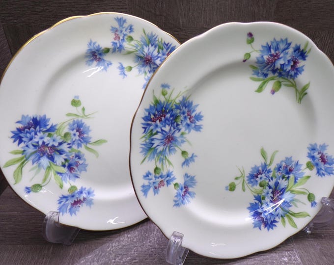 2604 Hammersley & Co. Longton Stoke-on-Trent 7.25" Snack Plates Set of 2
