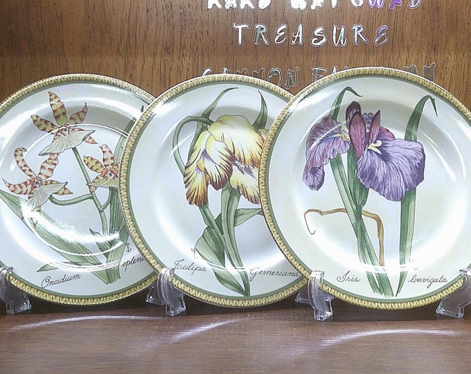 2501 American Atelier Botanical #5023 8" Snack Plates Set of 3 - Great Condition