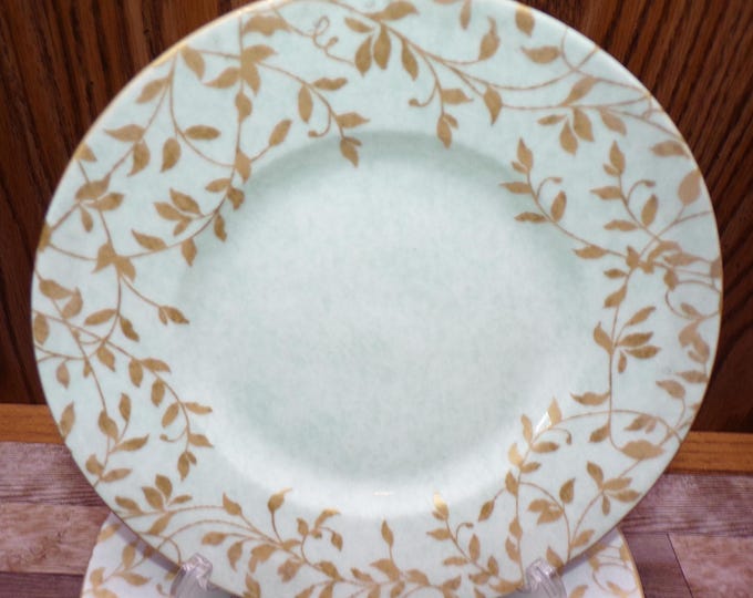 2509 Pier 1 Imports Phoebe 8.5" Salad / Snack Plates Set of 5 Dishwasher & Microwave Safe - Great Condition