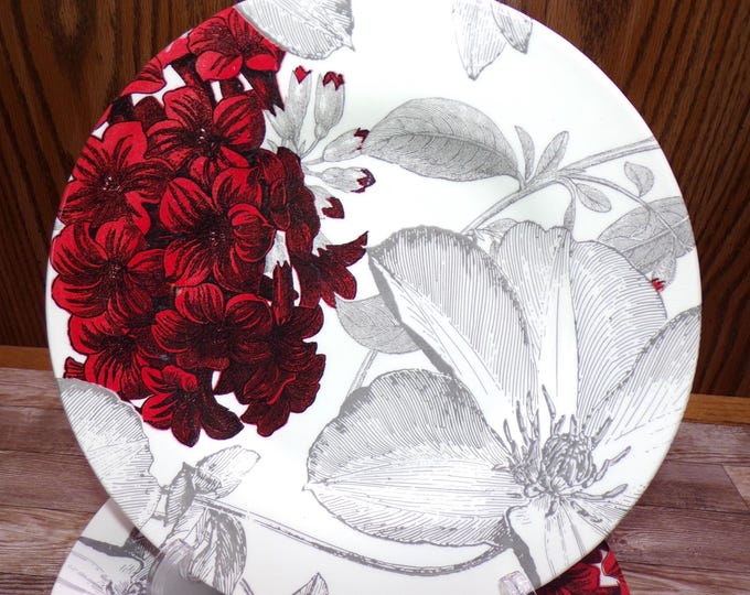 2511 Royal Stafford Andrew Tanner Clematis Red 8.5" Salad Plate Set of 6 Made in England - Great Cond. Few Light Scratches Very Little Wear