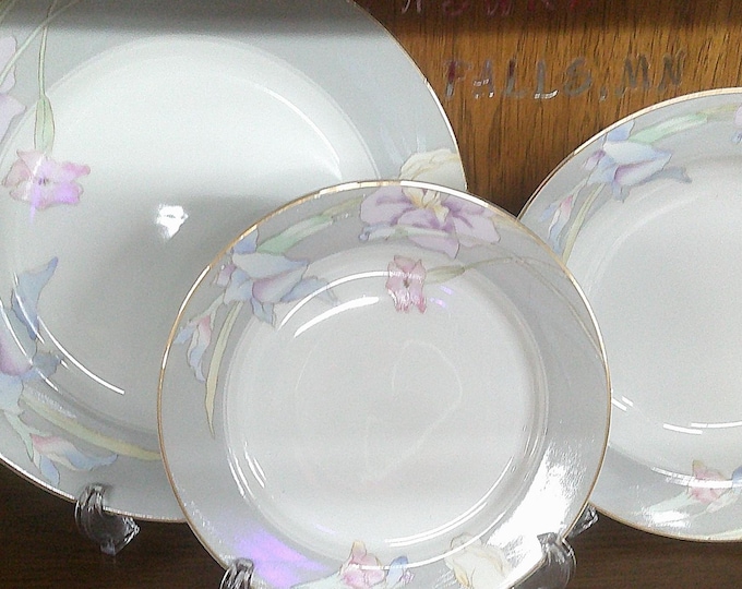 2501 Mikasa Charisma Gray Fine China L9049 Beautiful Pastel Floral Dinnerware - Excellent Condition Choose from List: