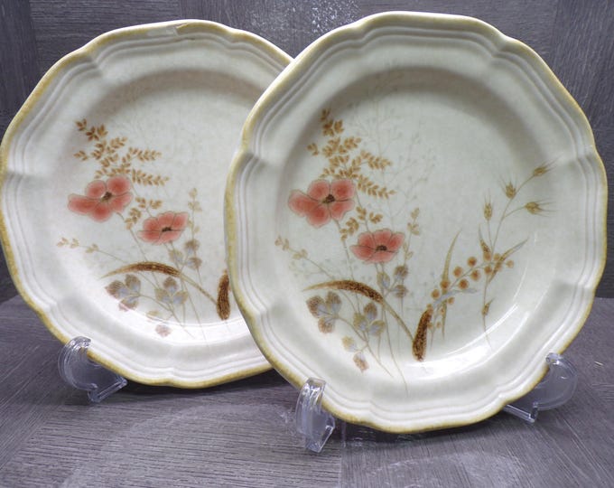 2603 Mikasa Country Charm FG003 Straw Flowers 8" Salad / Snack Plate Set of 2 - Good Condition