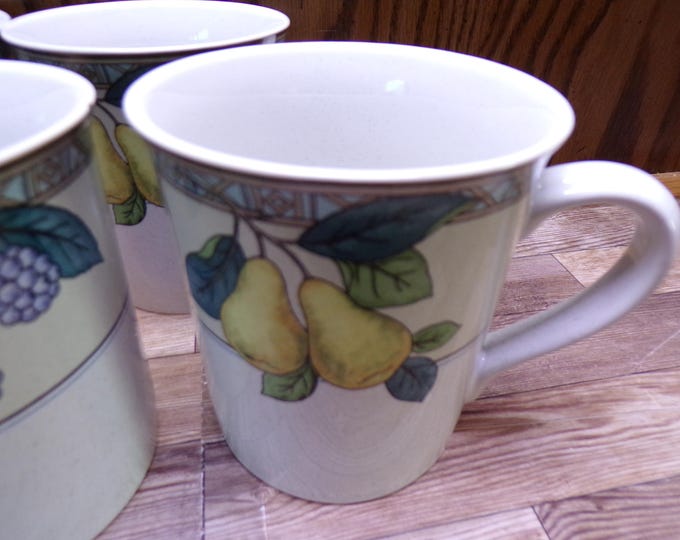 2511 Studio Nova Garden Gallery HG246 Vintage 4" 12 oz Mugs Set of 4 - Chip on 1 Rim Otherwise Great Condition