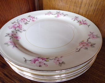 2506 Homer Laughlin Vintage Apple Blossom Eggshell Nautilus China 6.25" Plates Set of 8 - Great Condition