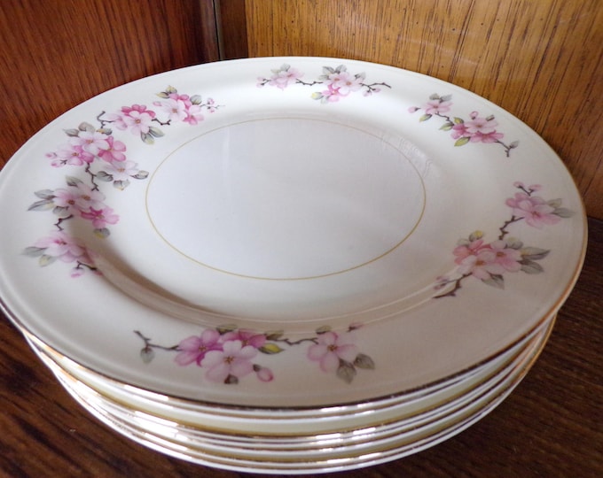 2506 Homer Laughlin Vintage Apple Blossom Eggshell Nautilus China 6.25" Plates Set of 8 - Great Condition