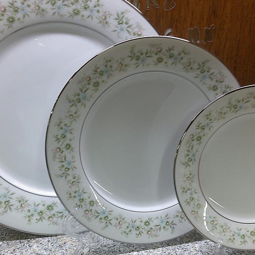 2309 Noritake Toki Kaisha Nippon N2632 Laurel Floral Vintage China