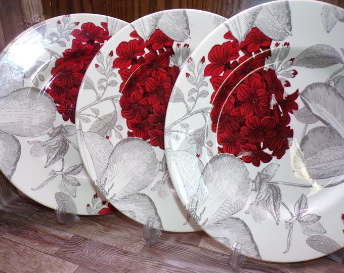 2511 Royal Stafford Andrew Tanner Clematis Red 11" Dinner Plate Set of 3 Made in England - Great Cond. Few Light Scratches Very Little Wear