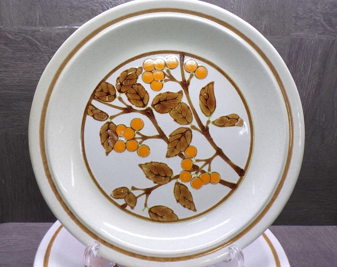 2604 Nikko Color Stone Vintage Stoneware Dinner Plates Set of 7