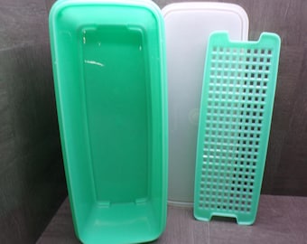 2606 Tupperware Jade Green Vintage Celery / Vegi Keeper 14" x 6" x 5"