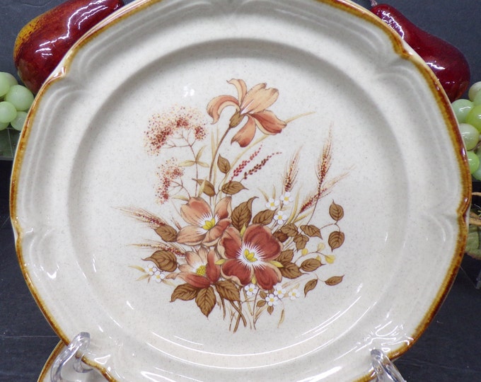 2310 International Endura Stoneware SY8030 Woodhue 7.5" Vintage Salad / Lunch / Dessert Plates Set of 4- Like New Condition