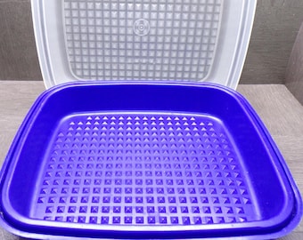 2608 Tupperware Season Serve Marinade Bold N Blue Flip Over Container with Lid 12"