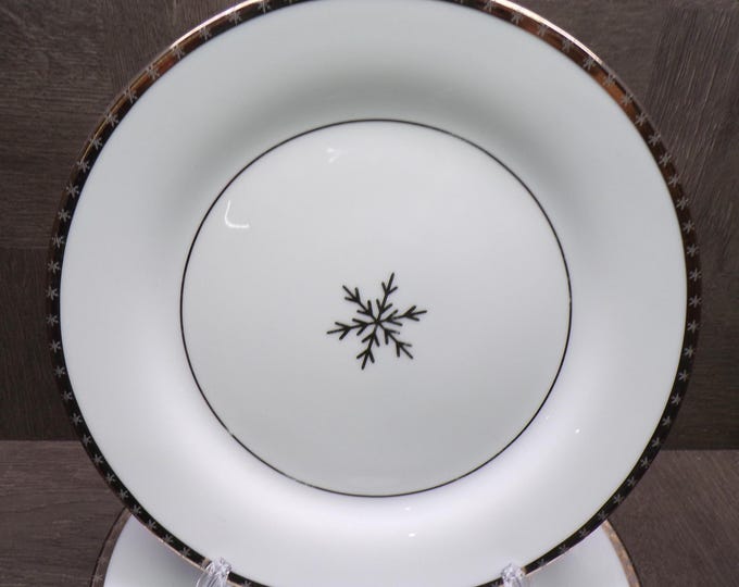 2602 Home Arctic Solstice Snowflake 10.75" Dinner Plates Set of 4 Platinum Rim - Great Condition Light Scratches