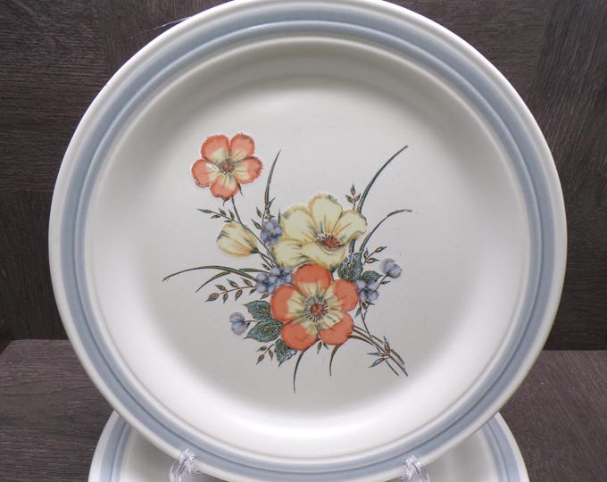 2602 Country Glen Collection Sunny Meadows Vintage Stoneware 10.75" Dinner Plates Set of 5 - Great Condition