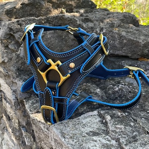 Leather Dog Harness Luxury with Brass Hardware, Y Front Leather Harness with Handle