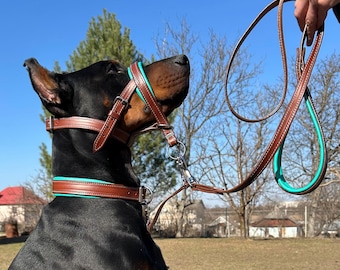 犬用ヘッドカラー（革製）、犬用首輪、リード、ドーベルマン