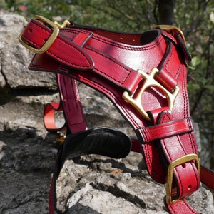 Large Red Leather Dog Harness with Handle, Doberman, Cane Corso, German Shepherd, Retriever, Bulldog, Boxer, Malinois, Terrier