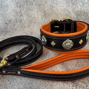 Könnte beinhalten: Ein schwarzes Leder-Halsband und -Leinen-Set für Hunde mit orangefarbenem Futter und cremefarbenen Nähten. Das Halsband hat silberne und türkisfarbene Verzierungen und eine goldfarbene Schnalle. Die Leine hat einen passenden goldfarbenen Verschluss.